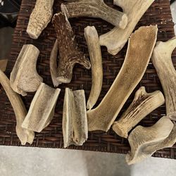 Antlers