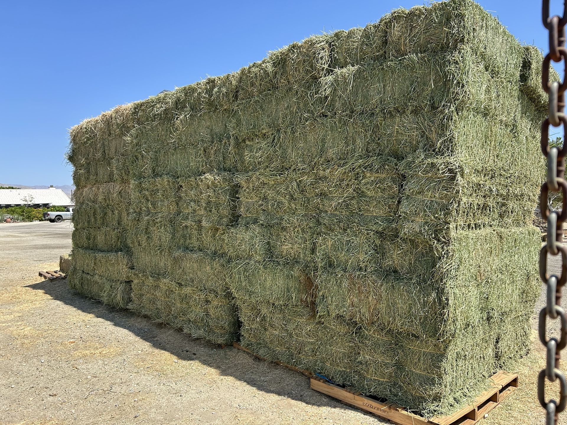 Alfalfa / Hay $15 