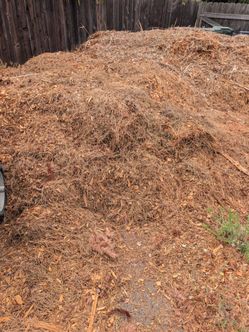 Free mulch / wood chips