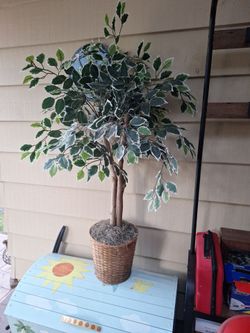 5 ft silk  accent  tree