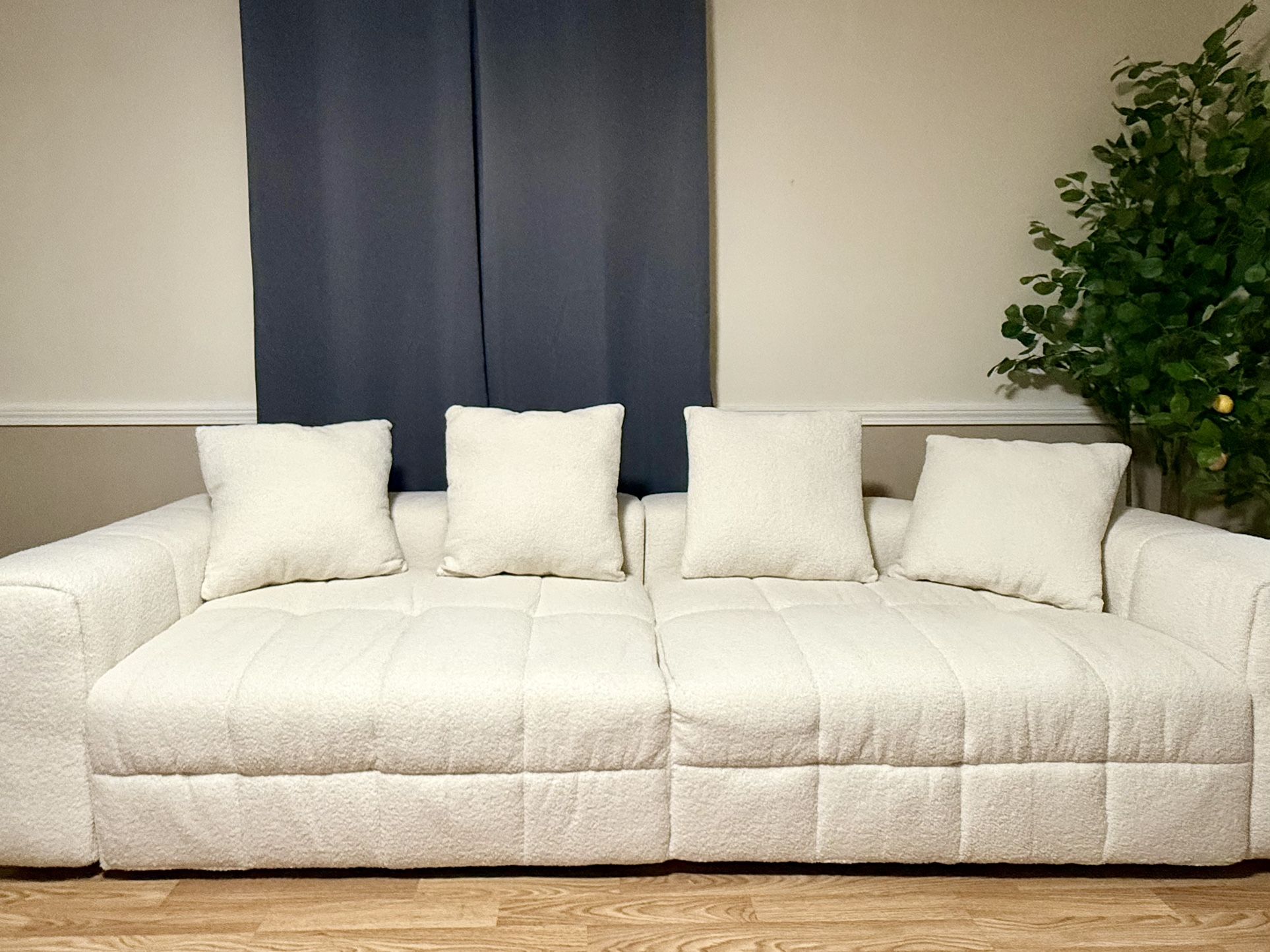 Brand New Couch