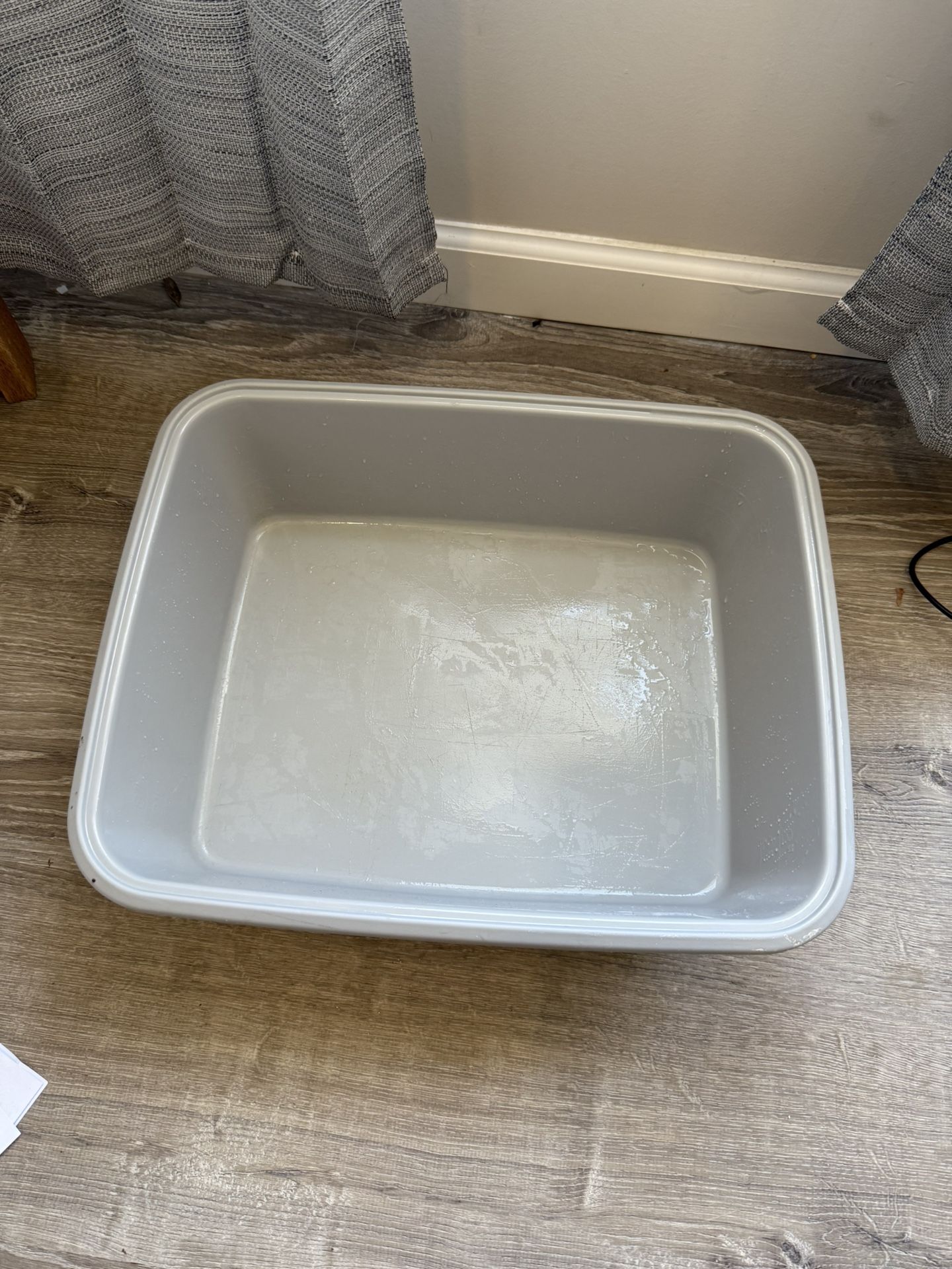 Cat Little Box Bundle