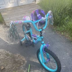 Girls Bicycle