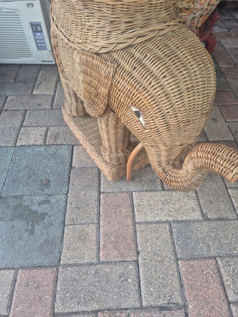 Elephant