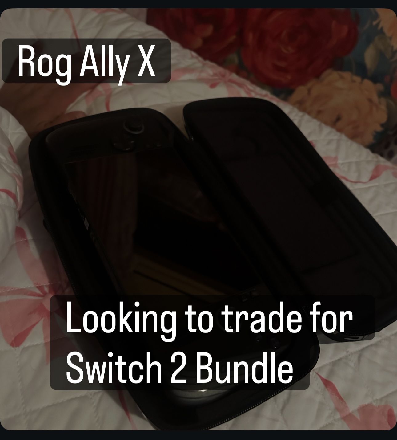 Rog Ally X for Trade (Read Description)