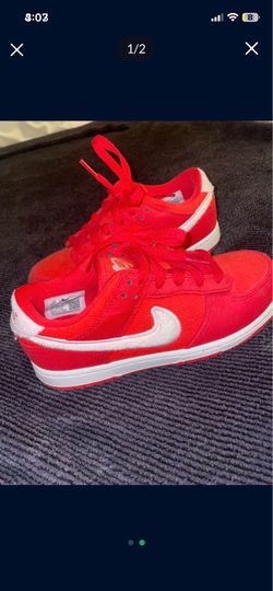 Kids nike dunks