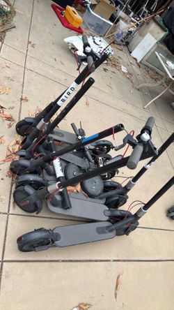 Bird scooter lot