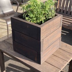 Planter 