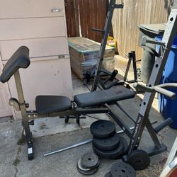 Weight Bench 