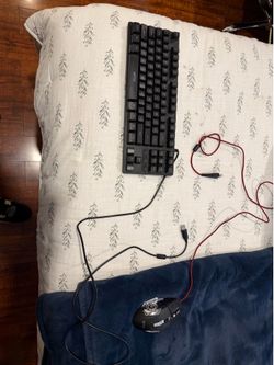 Mouse and Keyboard RGB