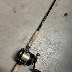 Shimano Terez  Penn GS Fishing Rod reel combo 