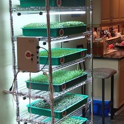 MicroGreen Hydroponic Grow System