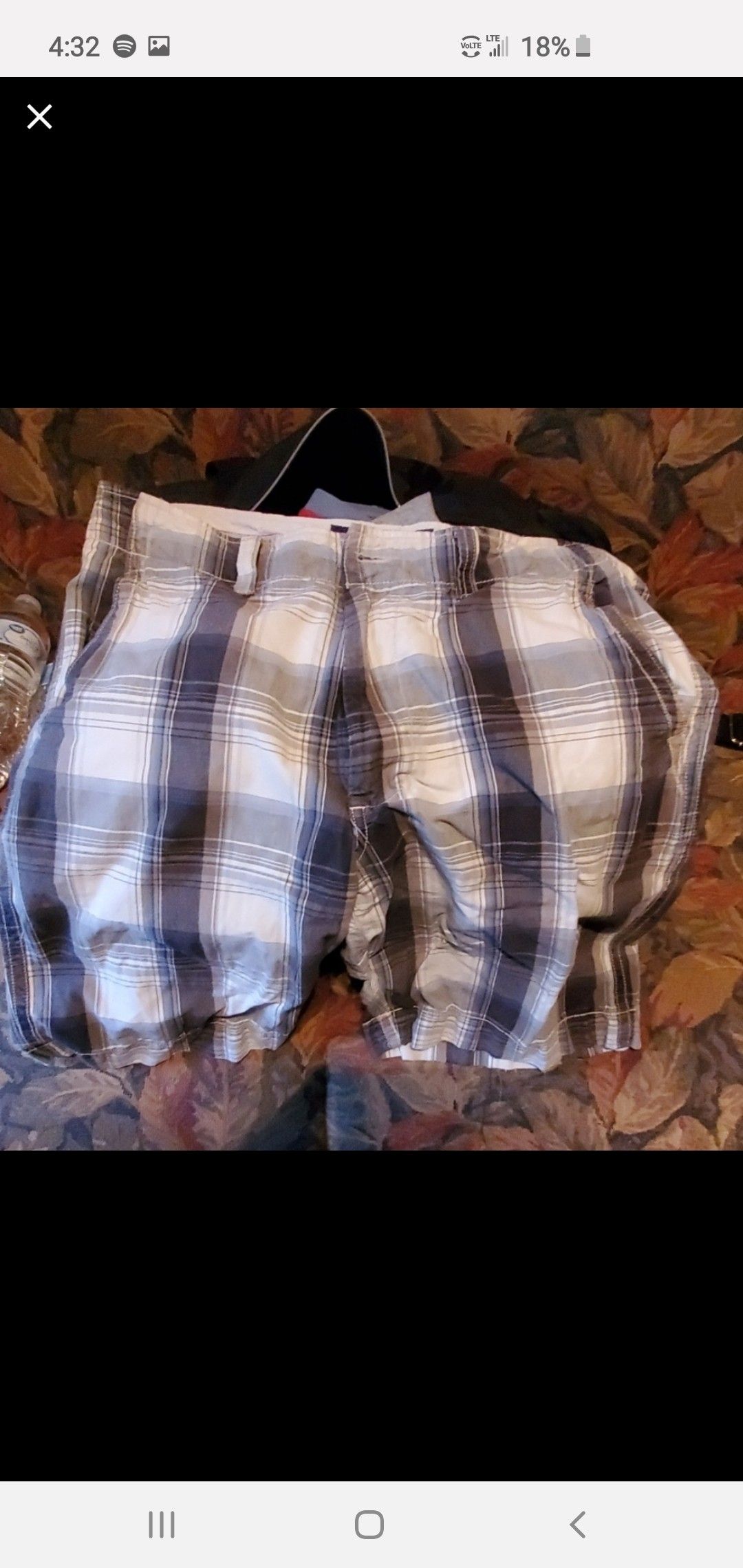 American Eagle shorts