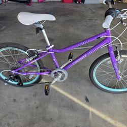 20 Inch Kid Bike - ETHOS / Purple Aqua