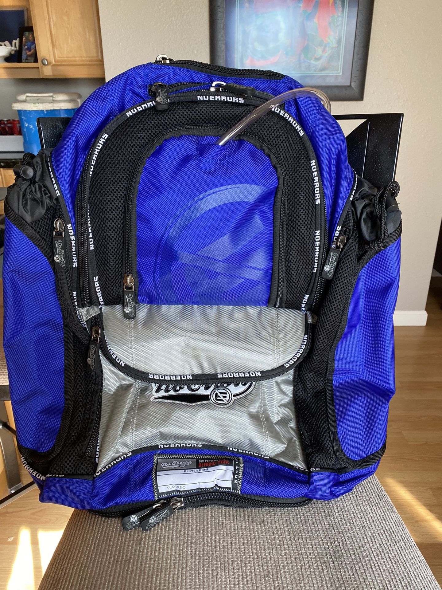 No Errors- Baseball /Softball Backpack, holds Two Bats, Has Water Pack Included ! I Have Two Of Them Brand New! Never Used. $45 Each Or Both For  $80!