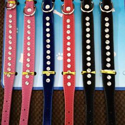 Studed Small Dog COLLAR