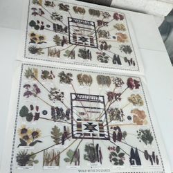 Two Vtg1972 Collection Of Navajo  Native Dyes Poster Dye Charts