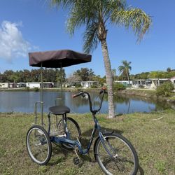 Electric Assist Adult Trike