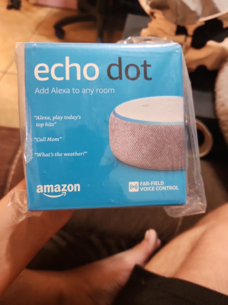Amazon Echo Dot 1 With Smart Plug