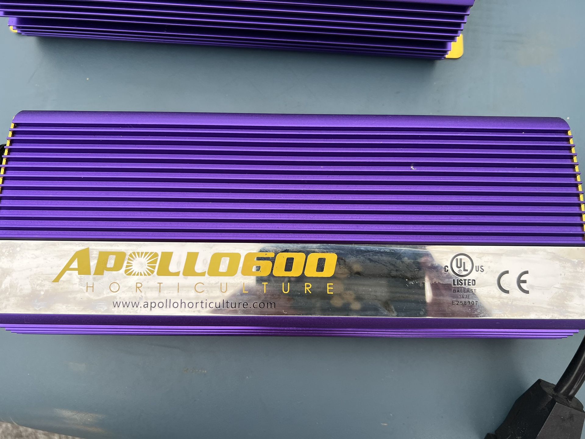 Apollo Horticulture 600 W