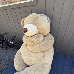 Flush Teddy Bear 93”  $40
