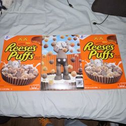 Kaws Recess Puffs