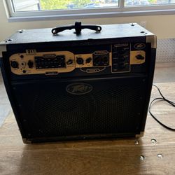 Peavey Ecoustic® E110 Acoustic Guitar Amplifier