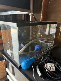 Fish Tank