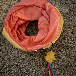 Cat Tunnel 