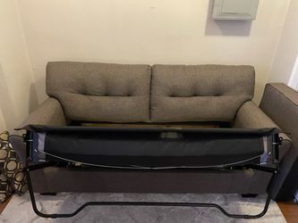 Fold Out Full-Size Couch Thumbnail