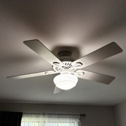 ceiling fan light Hunter 