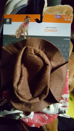 Pet costume cowboy