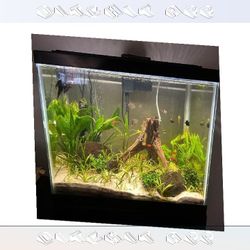 wind production Complete Aquarium System - Jump into Water World Beauty