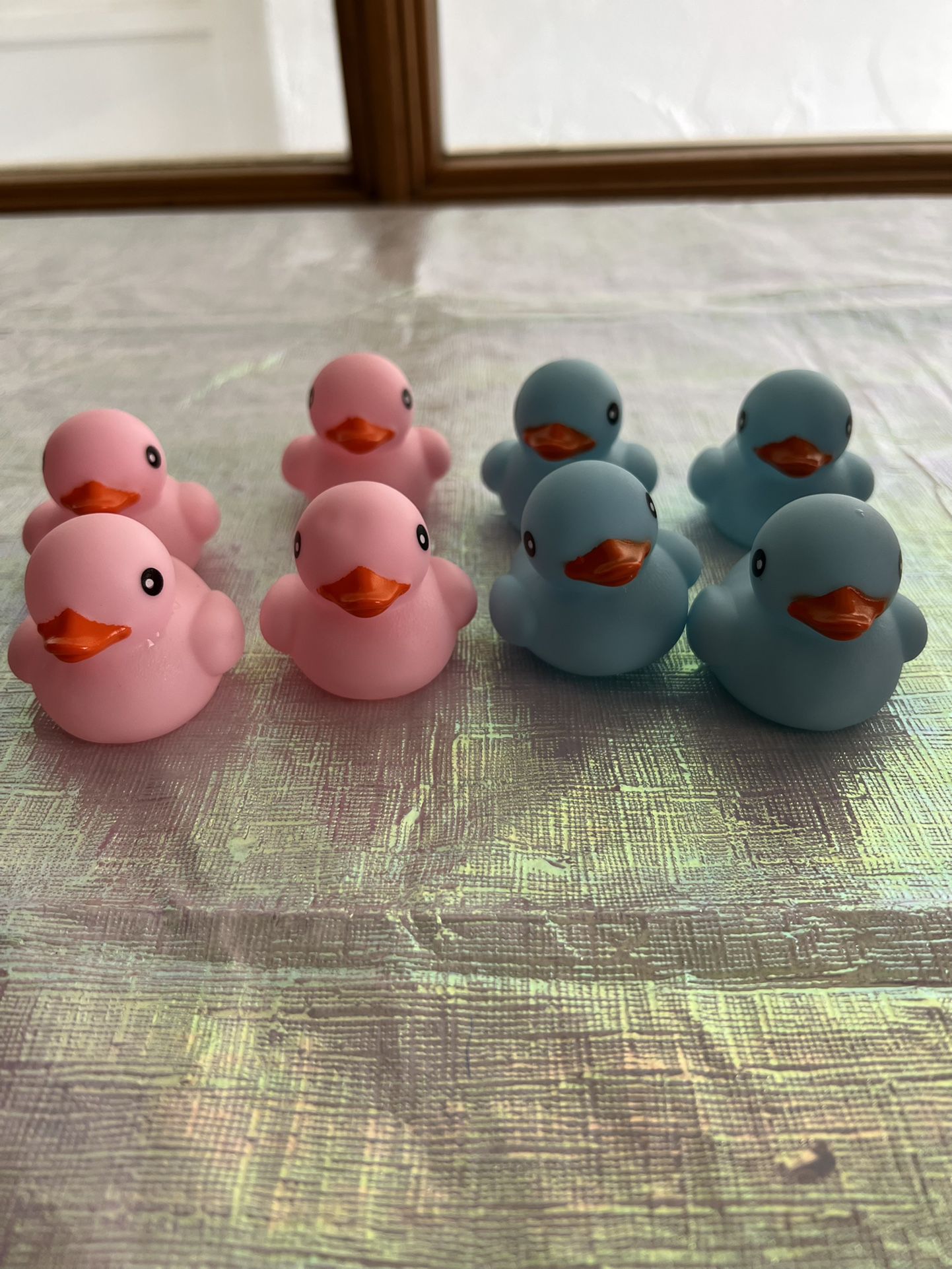 Gender Reveal Baby Ducks