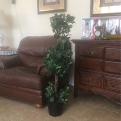 Fake Plant $27