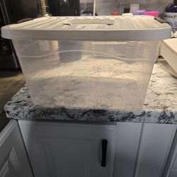 Storage Containers 