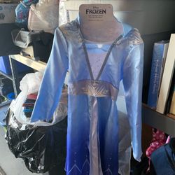 Elsa Costume 