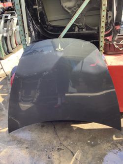 2017 - 2023 TESLA MODEL 3 - HOOD PANEL OEM