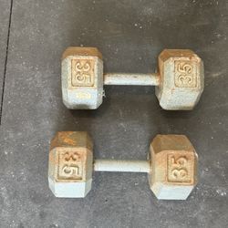 35lb Dumbbells