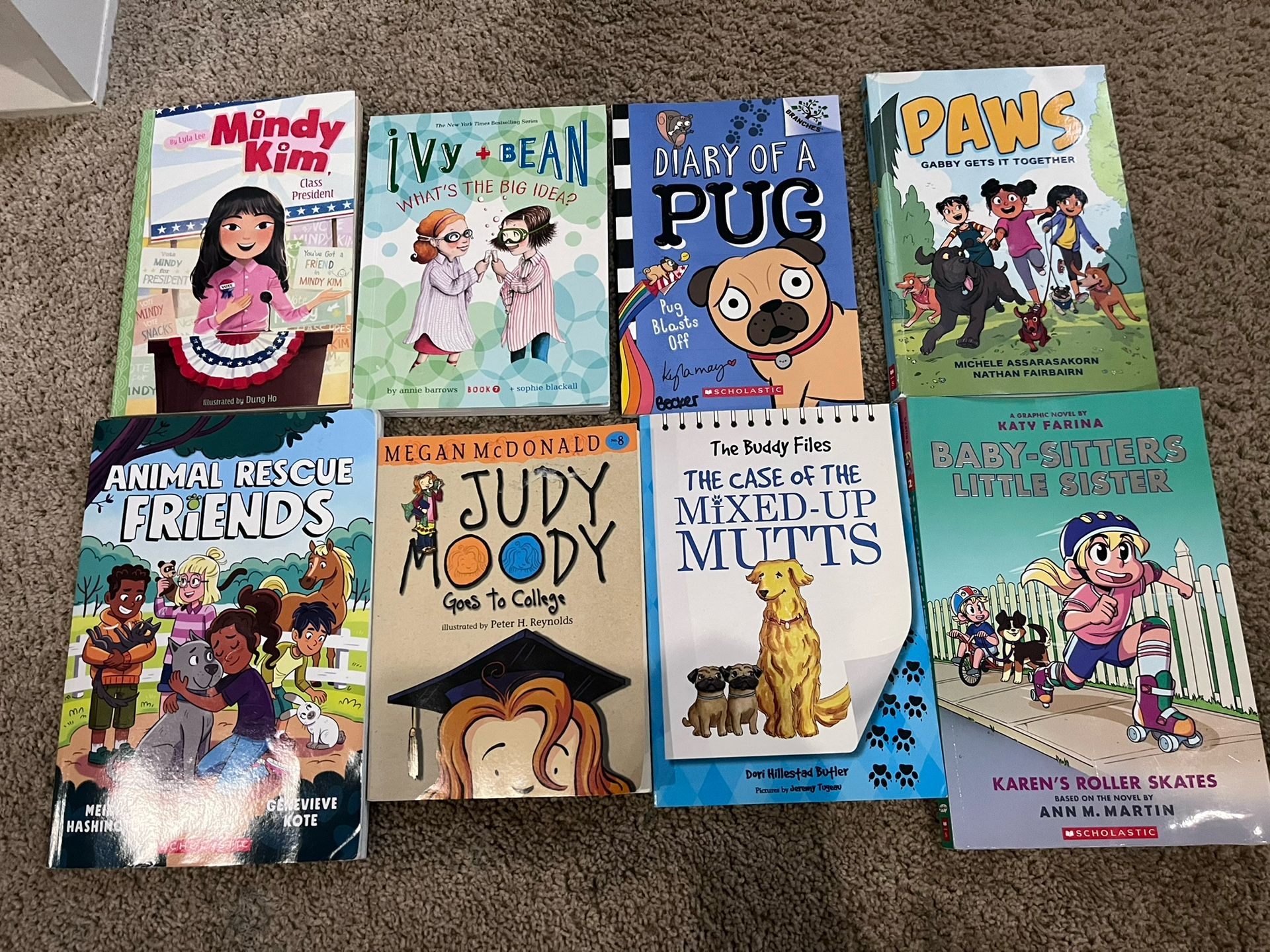 2nd-3rd Grade Chapter/Graphic novels Set For Girls