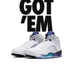 Jordan 5 (10)