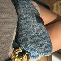 6k Dior Bag 1/2 In The World 