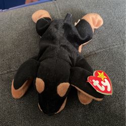 Dog Beanie Baby 