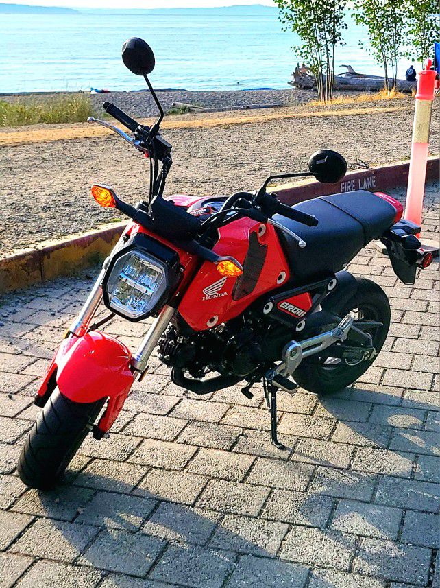 2023 Red Honda Grom 125cc Only 500 Miles Motorcycle Bike 