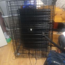L and XL wire kennels