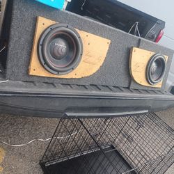 Massive Speakers 10s 💯