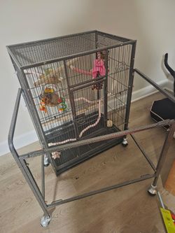 Large bird cage