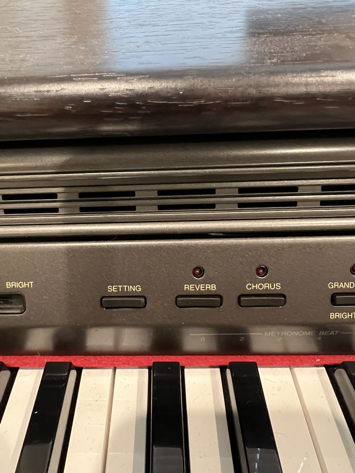 CASIO 電子ピアノ AP-45 器材 | endageism.com