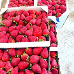Strawberry 