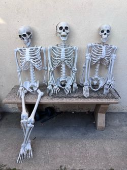 Halloween Skeletons